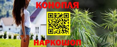 прущие грибы Усть-Джегута