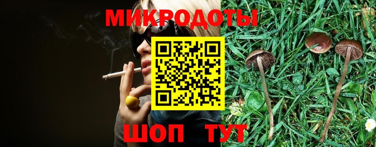 Псилоцибиновые грибы Cubensis Нижневартовск